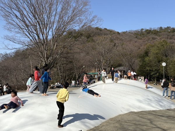 S__109518857_0_コピー